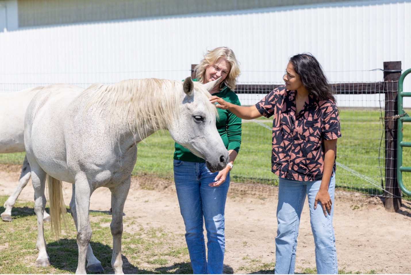 Lauren Enty and Dr. Karen Waite interacting with one of the horses at MSU Horse Teaching & Research Center.