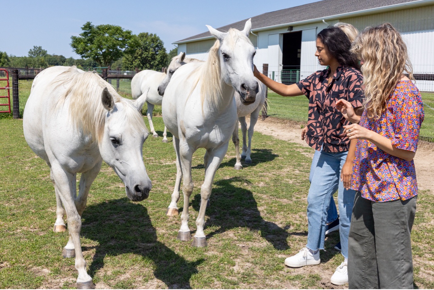 Lauren Enty and Christian Gibson interacting with horses at MSU Horse Teaching & Research Center.